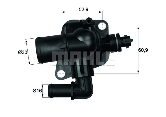 Thermostat, coolant (WG1217599)