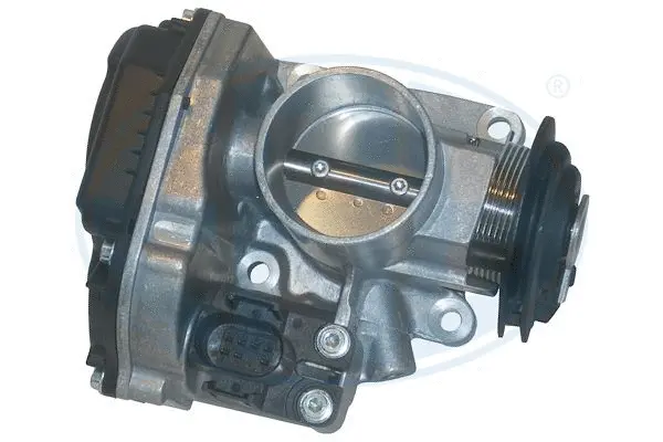 Throttle Body (WG1494951)