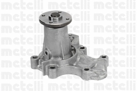 Water Pump, engine cooling (WG1790519)