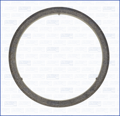 Gasket, exhaust pipe (WG1448824)