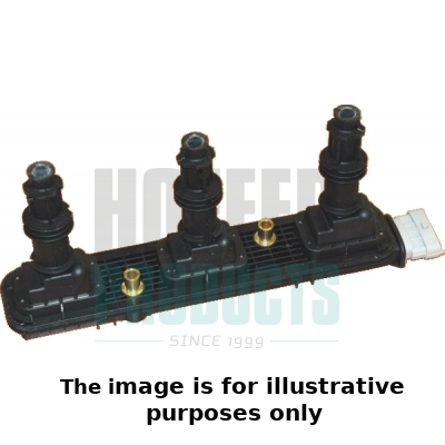 Ignition Coil (WG1902085)