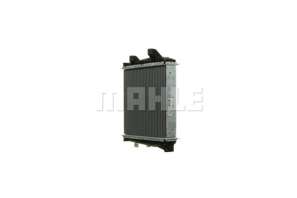 Radiator, engine cooling (WG2182431)
