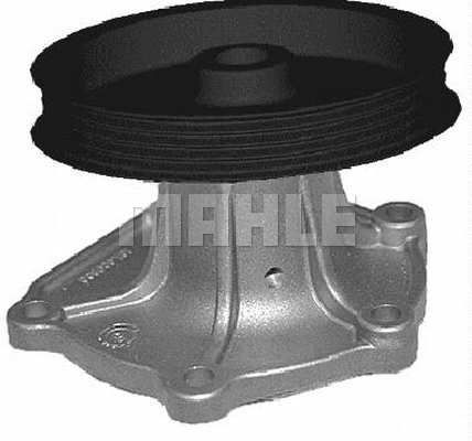 Water Pump, engine cooling (WG2182097)