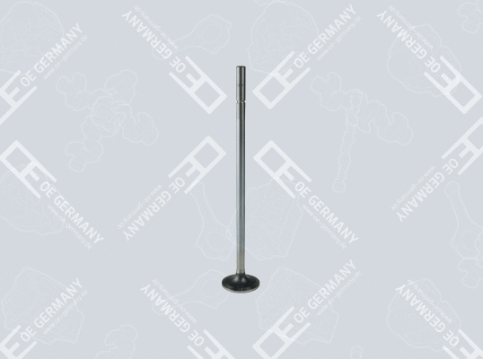 Intake Valve (WG2102470)