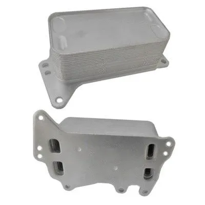 Oil Cooler, engine oil (WG1899774)