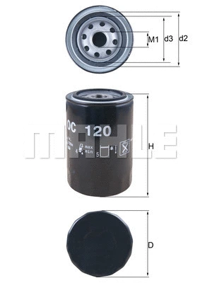 Oil Filter (WG1217028)