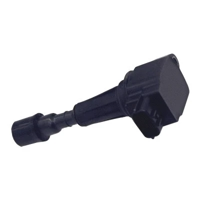 Ignition Coil (WG1012458)