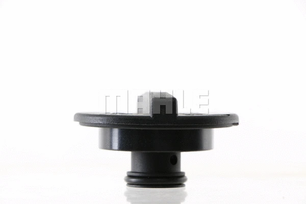 Cap, coolant tank