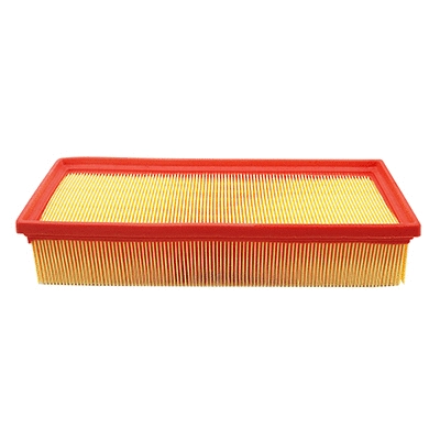 Air Filter (WG2152134)
