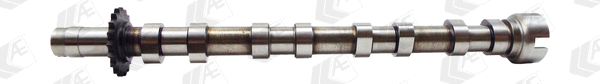Camshaft (WG1497630)