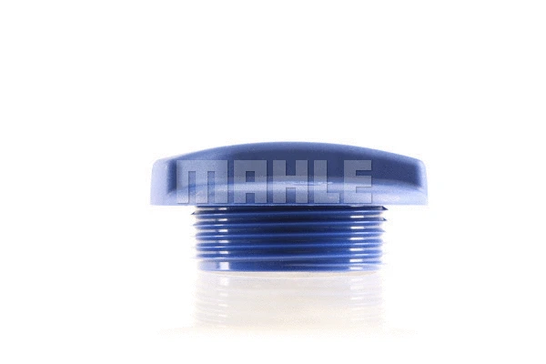 Cap, coolant tank (WG2184217)