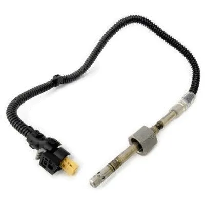 Sensor, exhaust gas temperature (WG1407238)