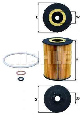 Oil Filter (WG1217457)