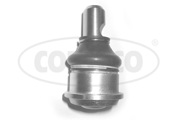 Ball Joint (WG2288343)