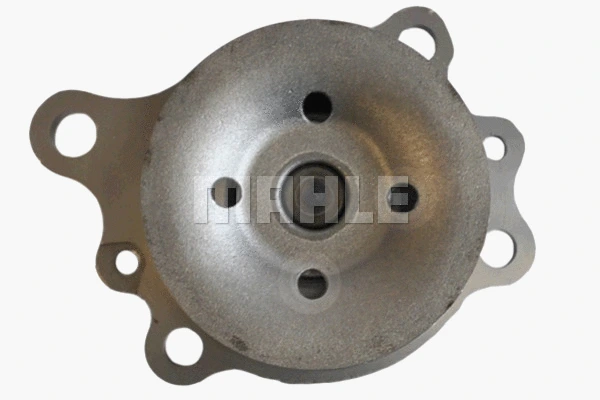 Water Pump, engine cooling (WG2181580)