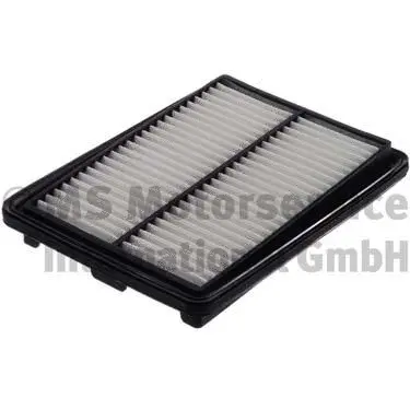Air Filter (WG1787496)