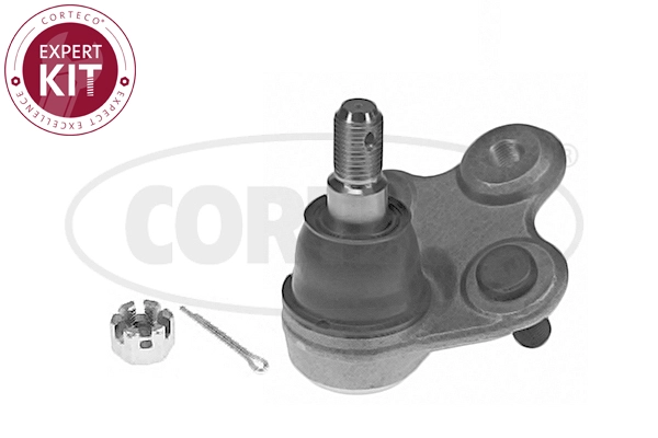 Ball Joint (WG2288461)