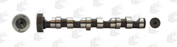 Camshaft (WG1171924)