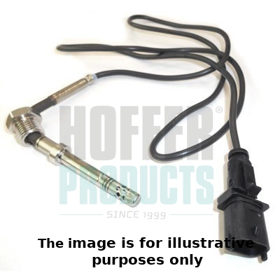 Sensor, exhaust gas temperature (WG1964673)