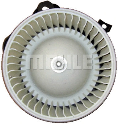 Interior Blower