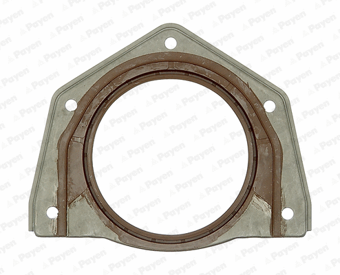 Shaft Seal, crankshaft (WG1177406)