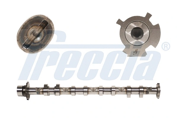 Camshaft (WG1483774)
