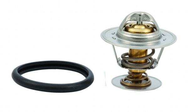 Thermostat, coolant (WG1409251)