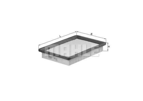 Air Filter (WG1216794)