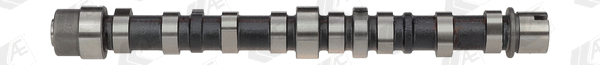 Camshaft (WG1093068)