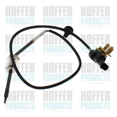 Sensor, exhaust gas temperature (WG2099438)