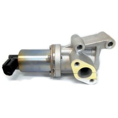 EGR Valve (WG1408744)