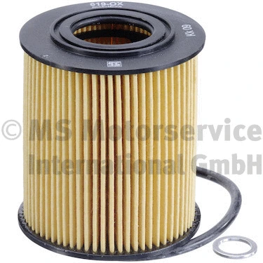 Oil Filter (WG1018529)