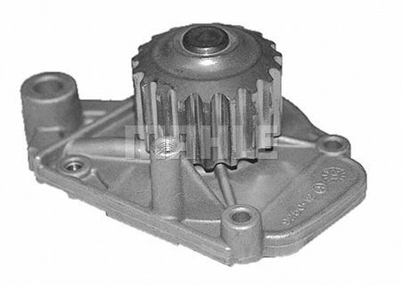 Water Pump, engine cooling (WG2181391)