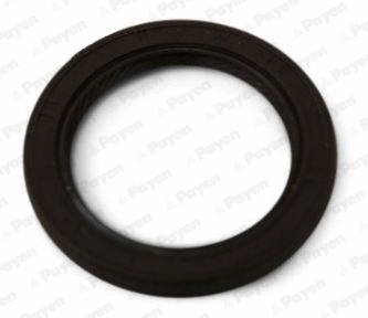 Shaft Seal, camshaft (WG1497752)