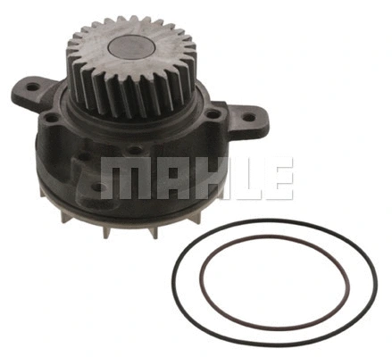 Water Pump, engine cooling (WG2181853)