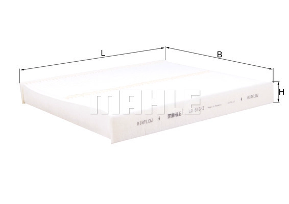 Filter, cabin air (WG2326020)