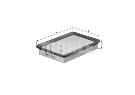 Air Filter (WG1215790)