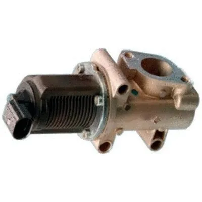 EGR Valve (WG1408637)