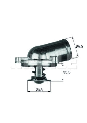 Thermostat, coolant (WG1262777)