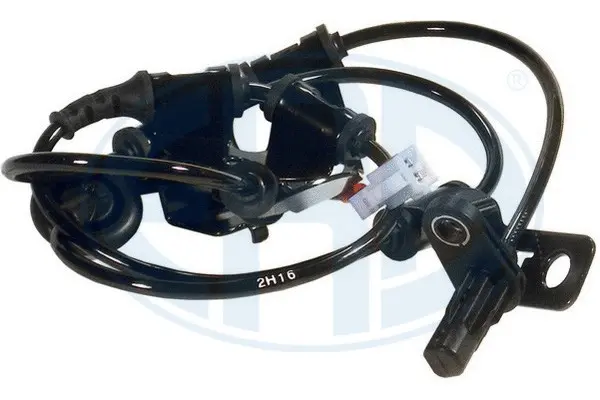 Sensor, wheel speed (WG2151493)