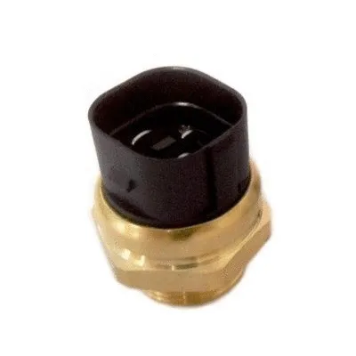 Temperature Switch, radiator fan (WG1748976)