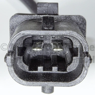 Sensor, exhaust gas temperature (WG2192846)