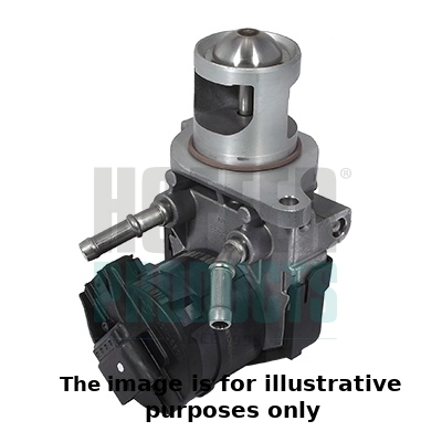 EGR Valve (WG1989973)