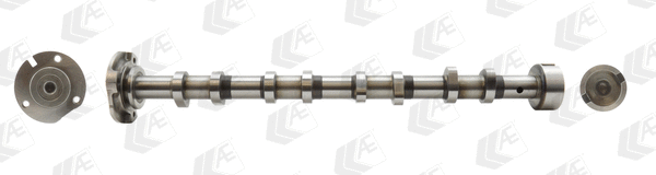 Camshaft (WG1462586)