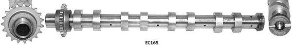 Camshaft (WG2101431)