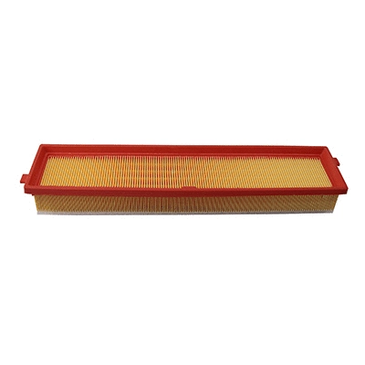 Air Filter (WG2152115)