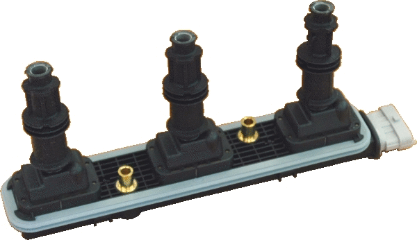 Ignition Coil (WG1012348)