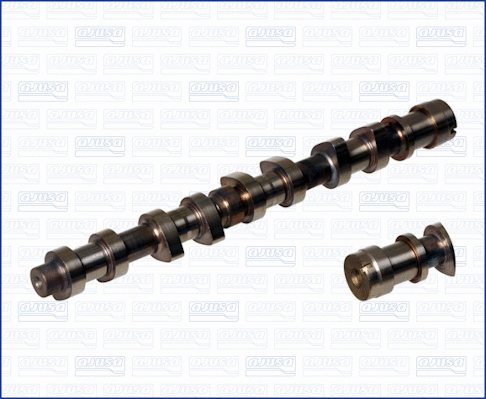 Camshaft (WG1456313)