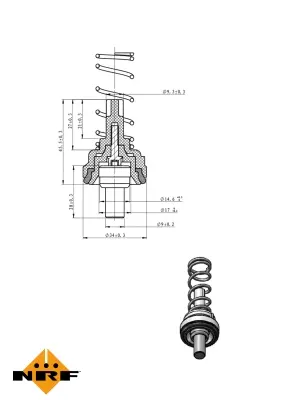 Thermostat, coolant