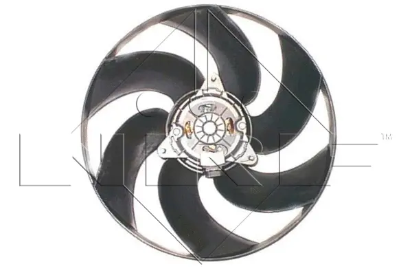 Fan, engine cooling (WG1720324)